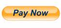 PayNow